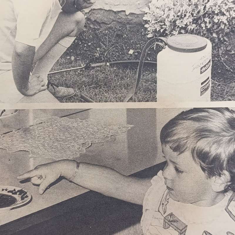 Vintage Ster magazine - 22 August 1975 issue