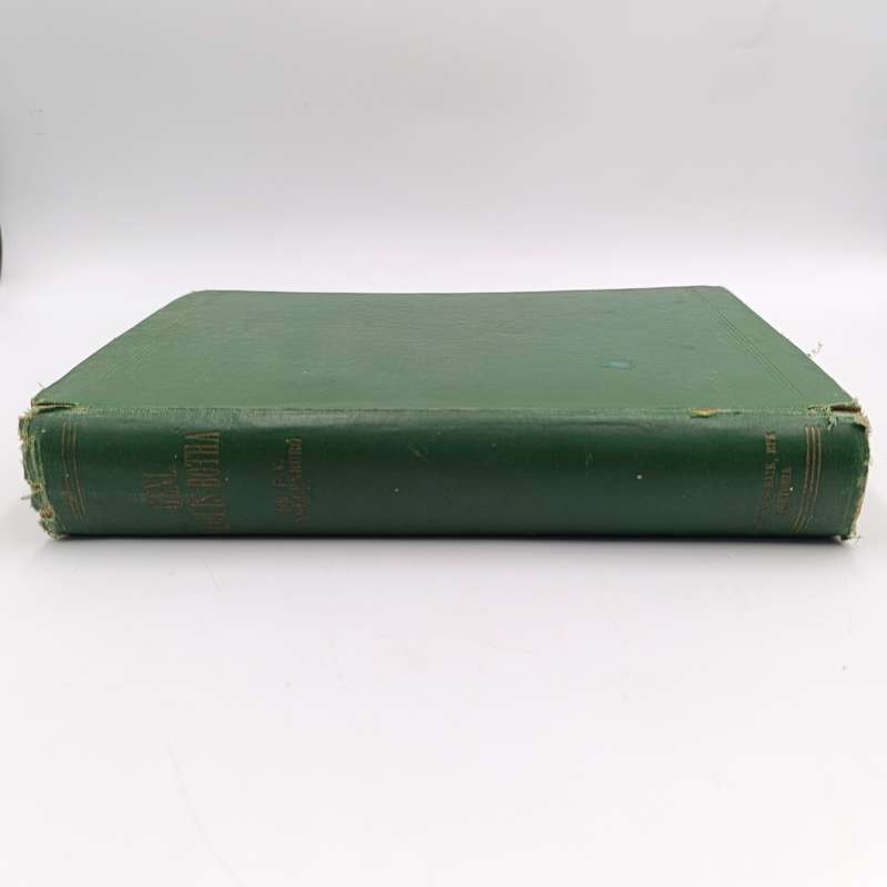 General Louis Botha by Dr. F.V Engelenburg - 1928 issue