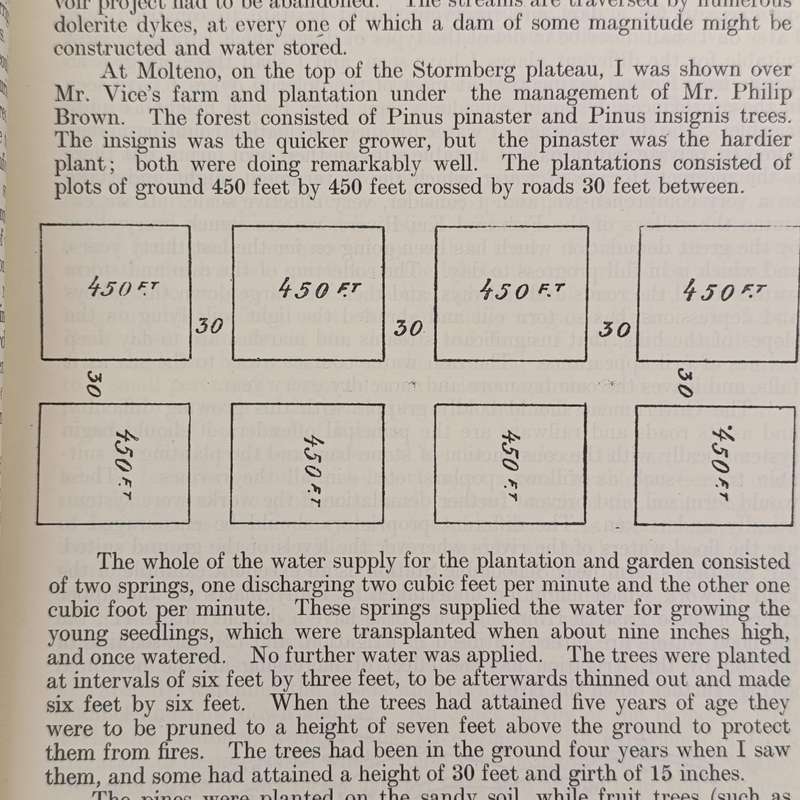 Cape of Good Hope 1902 Report upon Irrigation in South Africa by Willcocks presented to both houses