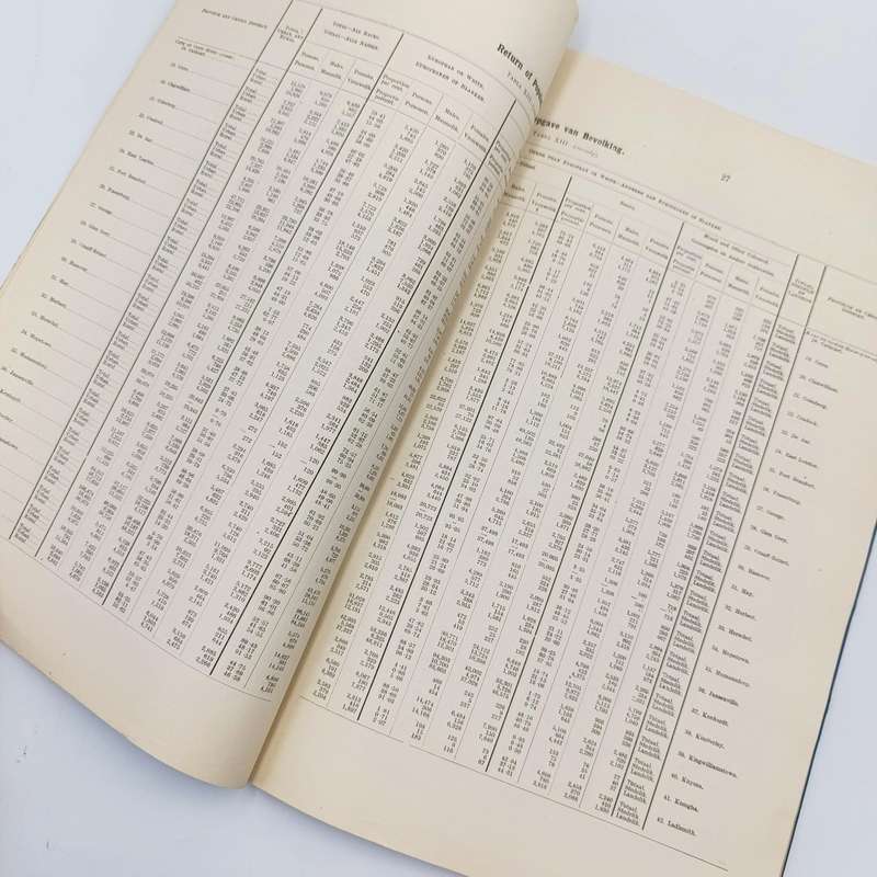 Union of South Africa Original 1911 Census report Annexures