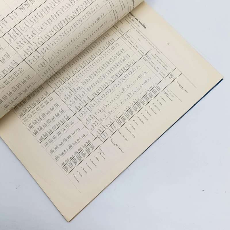 Union of South Africa Original 1911 Census report Annexures