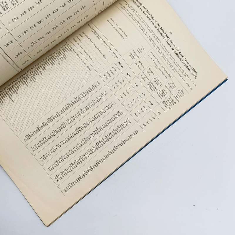 Union of South Africa Original 1911 Census report Annexures