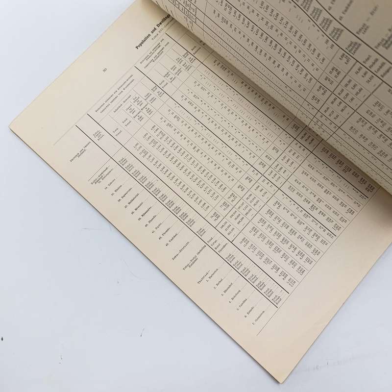 Union of South Africa Original 1911 Census report Annexures