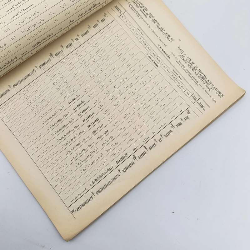 Union of South Africa - 3rd Census 1921 Personal occupation and Industry - Issued 1925