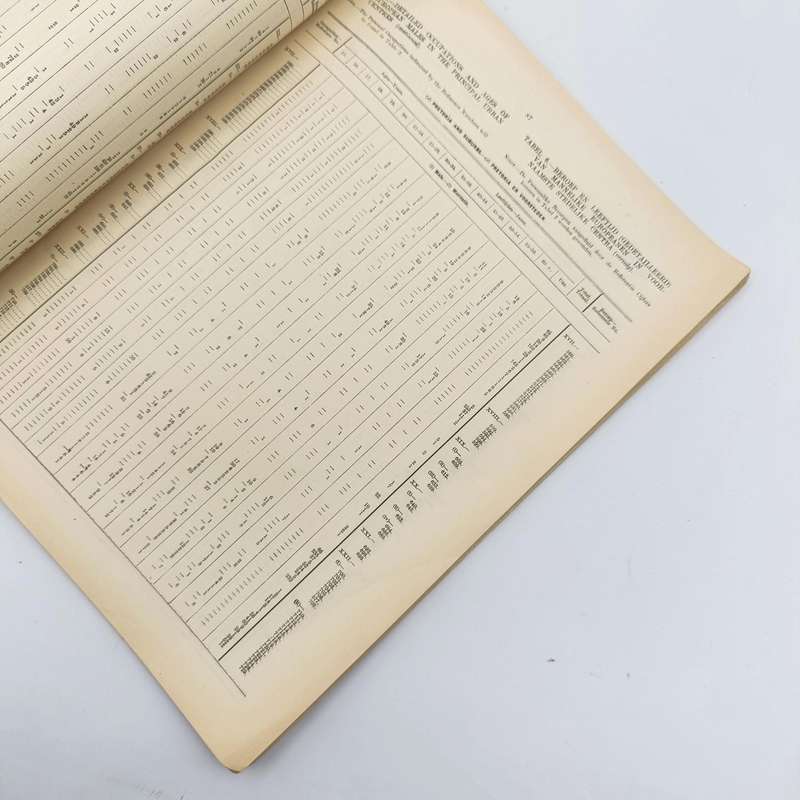 Union of South Africa - 3rd Census 1921 Personal occupation and Industry - Issued 1925