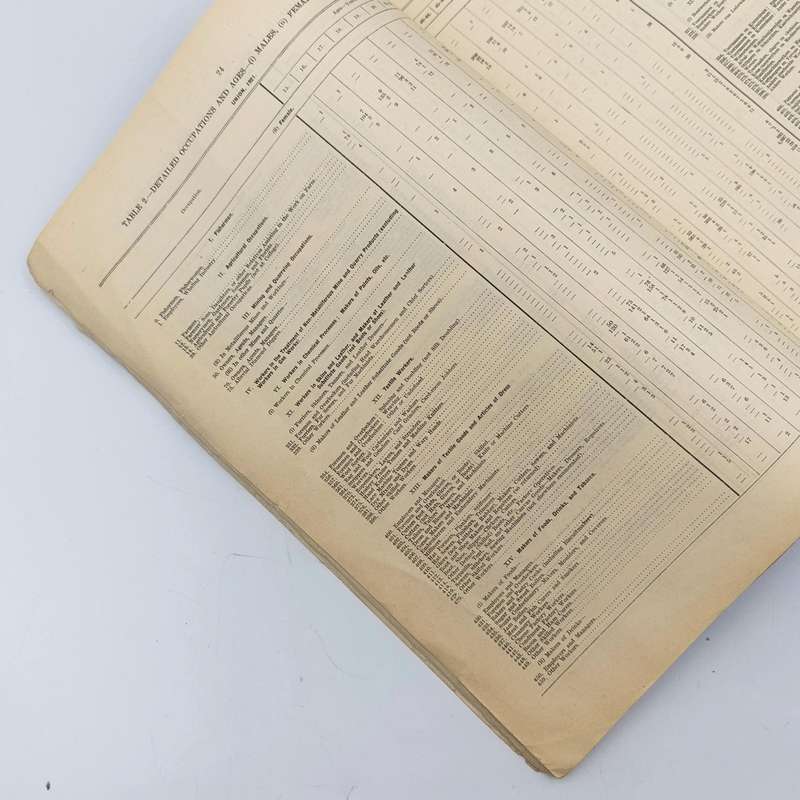 Union of South Africa - 3rd Census 1921 Personal occupation and Industry - Issued 1925