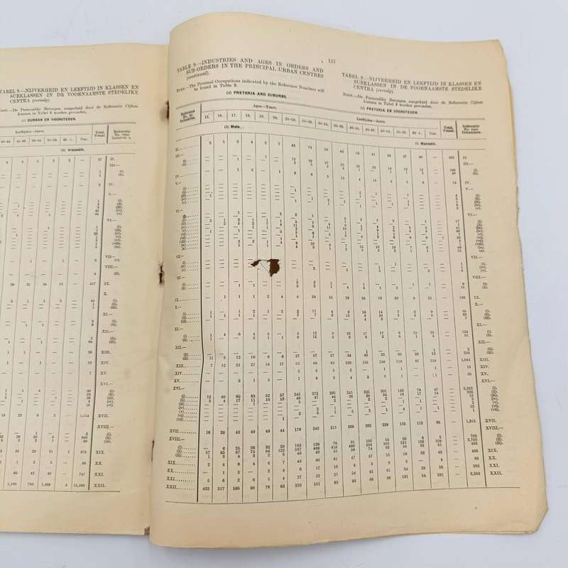 Union of South Africa - 3rd Census 1921 Personal occupation and Industry - Issued 1925