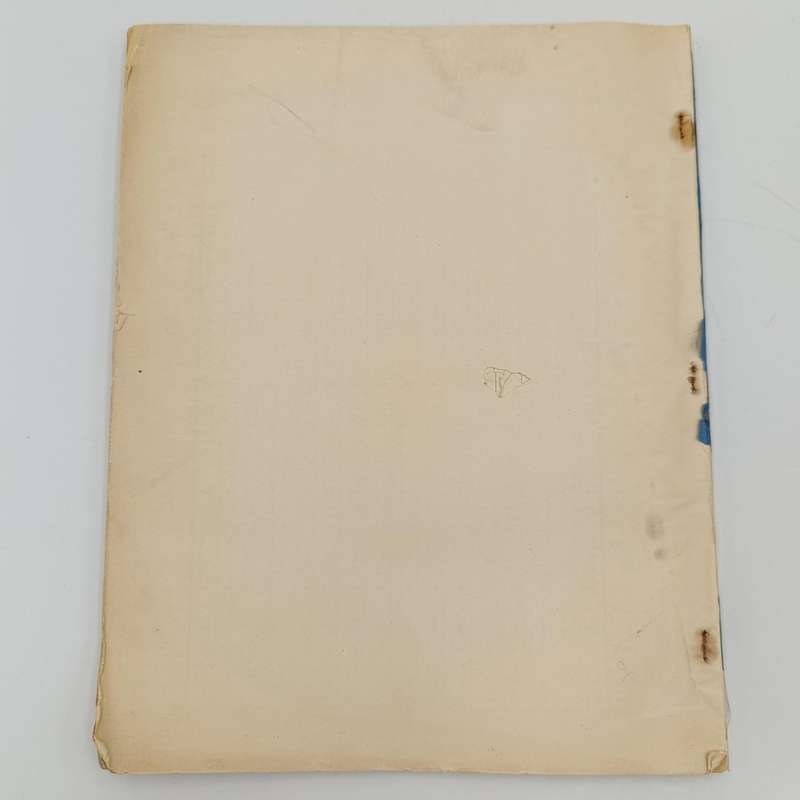 Union of South Africa - 3rd Census 1921 Personal occupation and Industry - Issued 1925