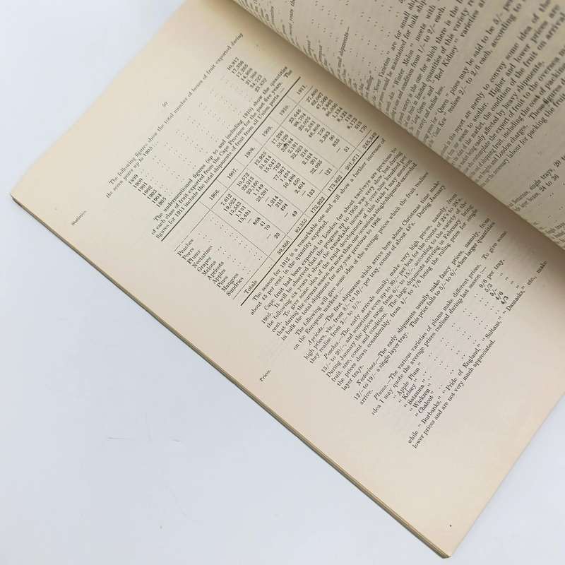 Union of South Africa 1911 ANNUAL REPORT of the Trades Commissioner