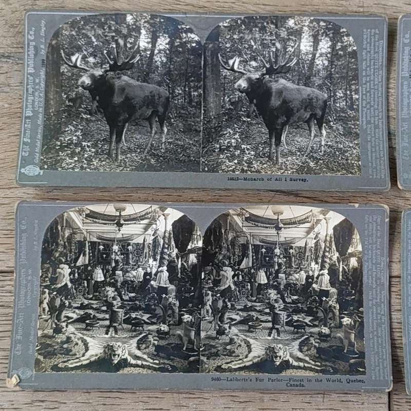 Lot of 9 Antique stereoscope cards with pictures of animals