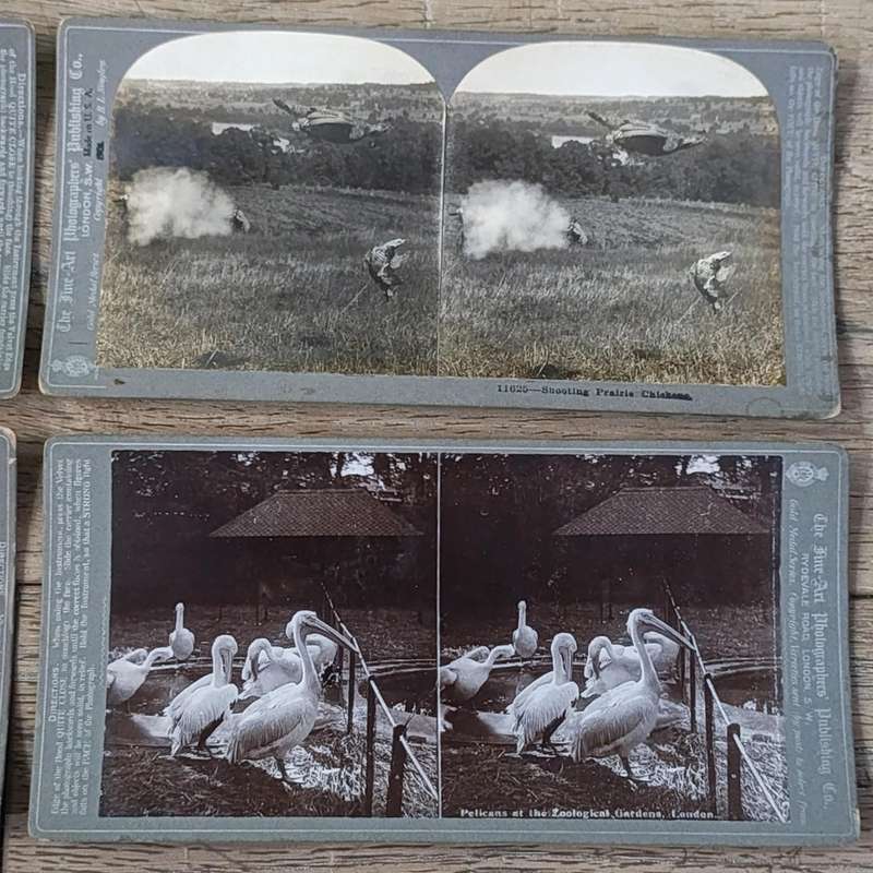 Lot of 9 Antique stereoscope cards with pictures of animals