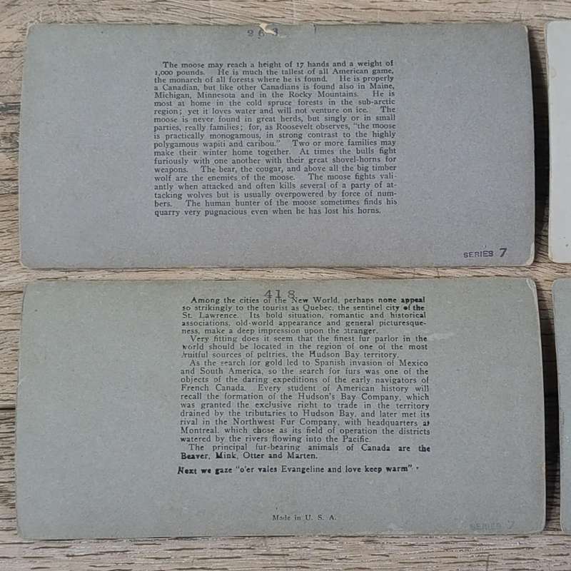 Lot of 9 Antique stereoscope cards with pictures of animals