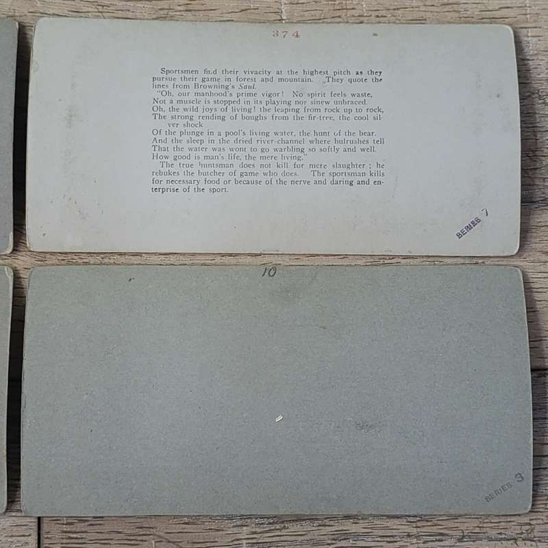 Lot of 9 Antique stereoscope cards with pictures of animals
