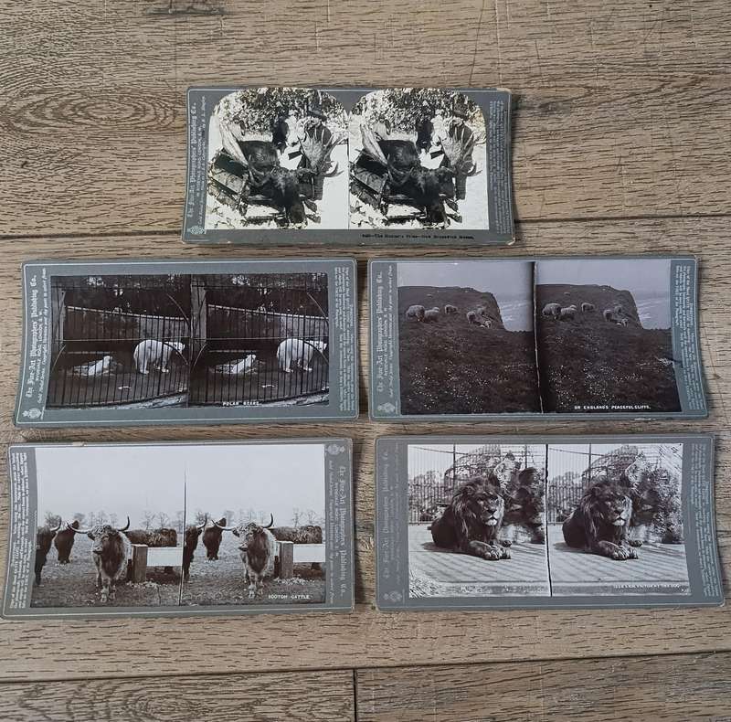 Lot of 9 Antique stereoscope cards with pictures of animals