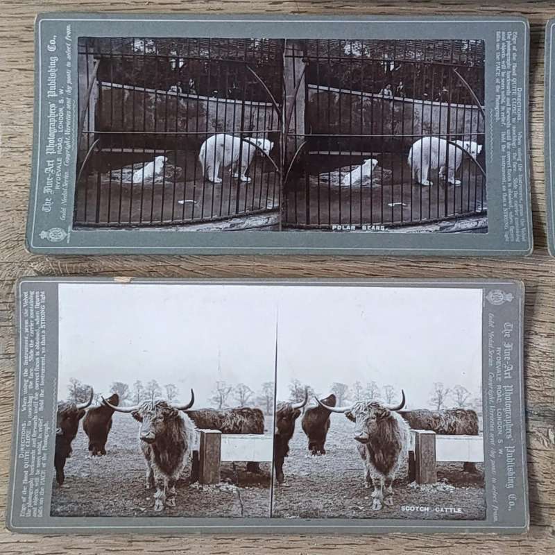 Lot of 9 Antique stereoscope cards with pictures of animals