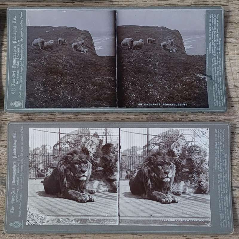 Lot of 9 Antique stereoscope cards with pictures of animals