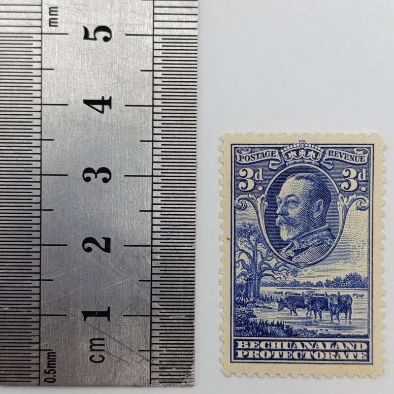 Bechuanaland Protectorate Lot of 6 mint hinged stamps George V up to 2/6