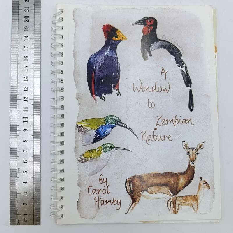 A Window to Zambian Nature by Carol Harvey