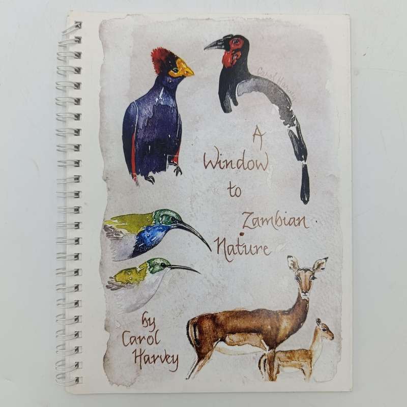 A Window to Zambian Nature by Carol Harvey