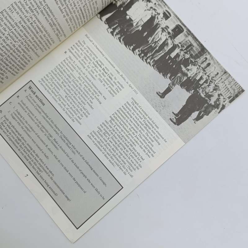 Hitler's Germany 1933-45 - Longman 20th Century History series - Josh Brooman
