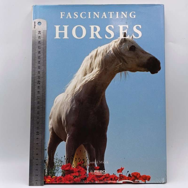 Fascinating Horses by Tomas Micek
