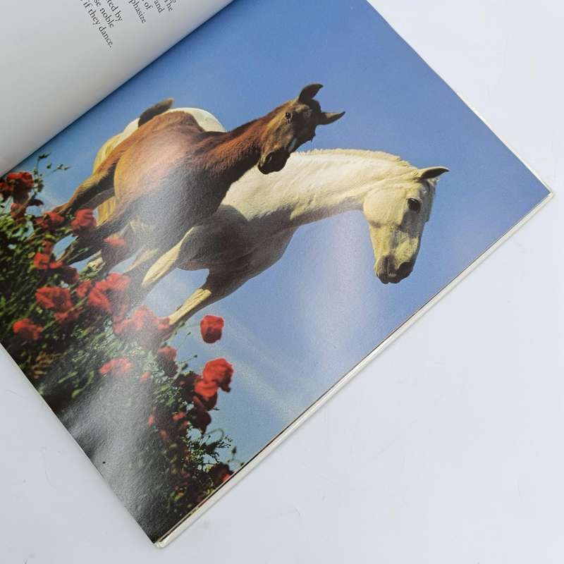 Fascinating Horses by Tomas Micek
