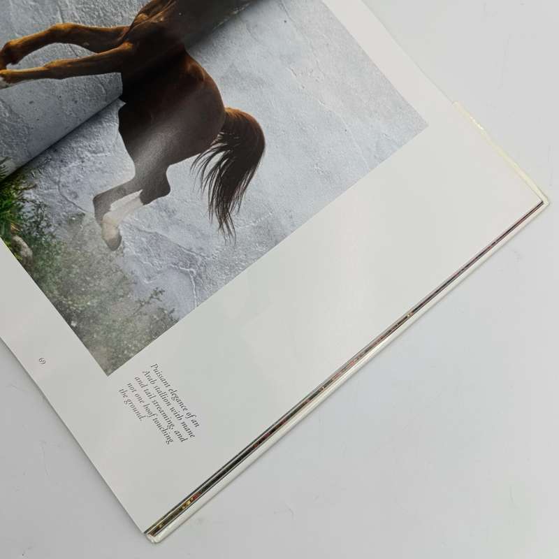 Fascinating Horses by Tomas Micek