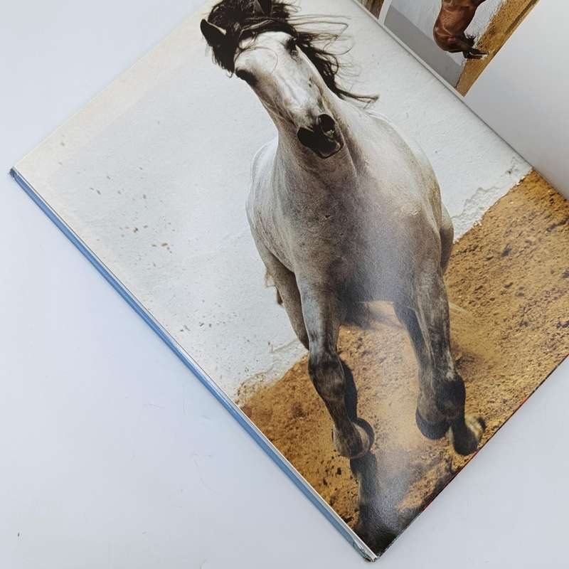 Fascinating Horses by Tomas Micek