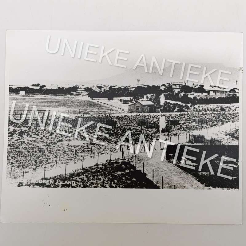 Antique photo reprint of Robben Island village with view towards Table Mountain