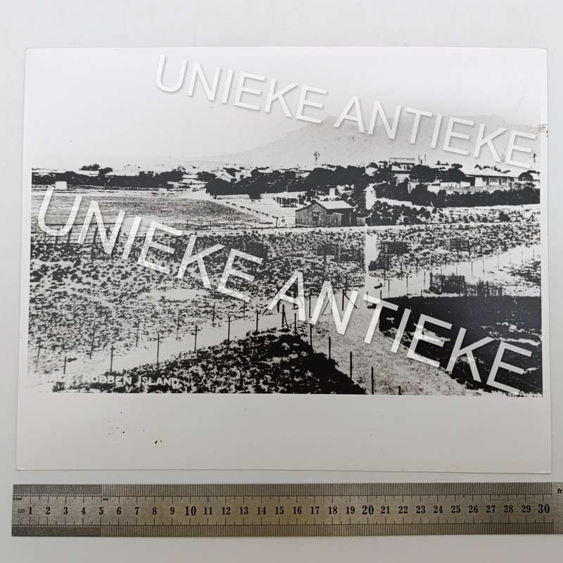 Antique photo reprint of Robben Island village with view towards Table Mountain