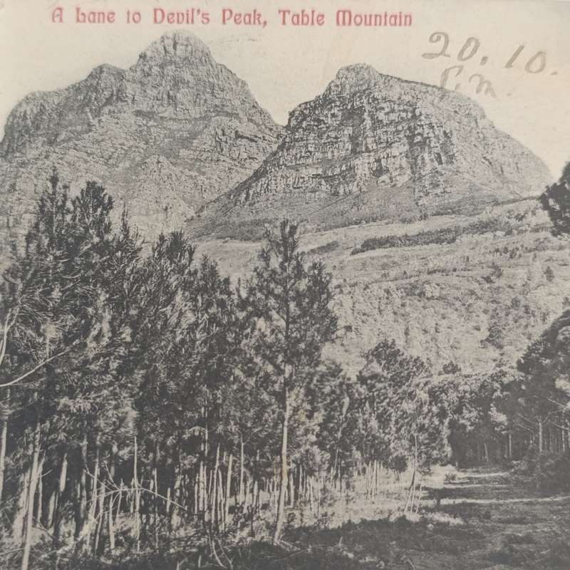 1989 Postcard Cape Town to Maitland with Maitland receiving cancels Picture of Devil's Peak