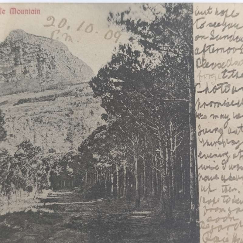 1989 Postcard Cape Town to Maitland with Maitland receiving cancels Picture of Devil's Peak