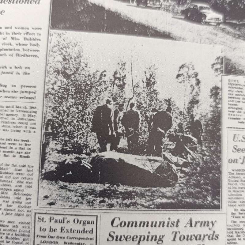 A Newspaper History of South Africa by Vic Alhadeff