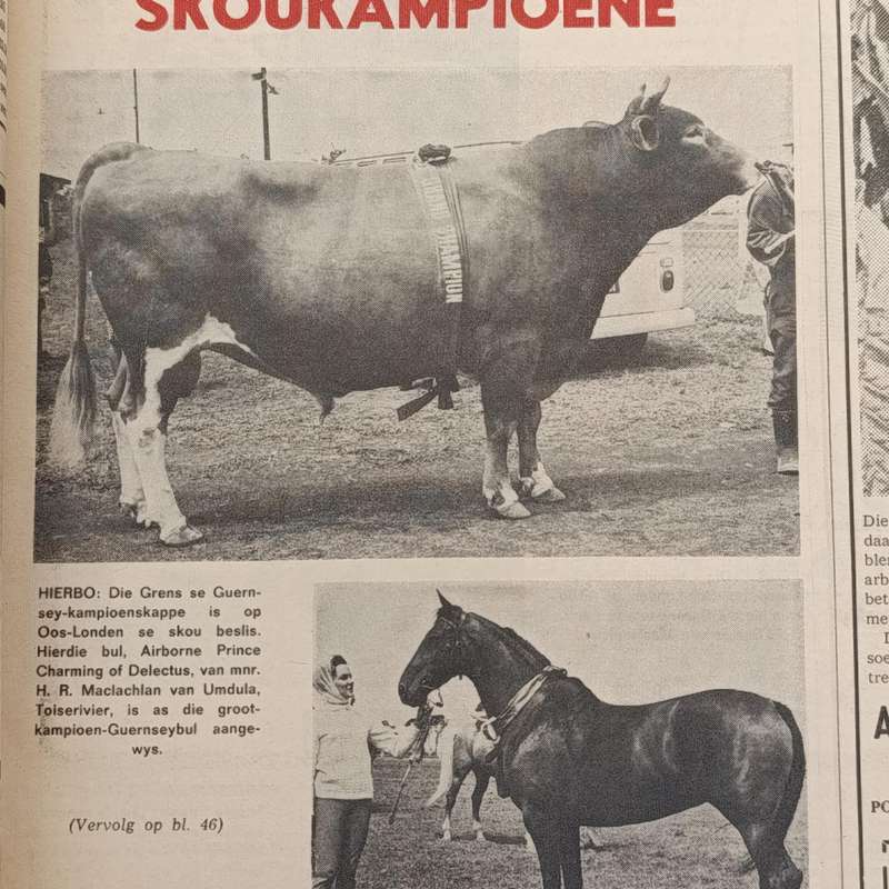 Vintage Landbou Weekblad - 1967 March 7th issue