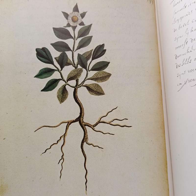 Simon van der Stel's journey to Namaqualand in 1685 - limited edition #163 of 750 numbered copies