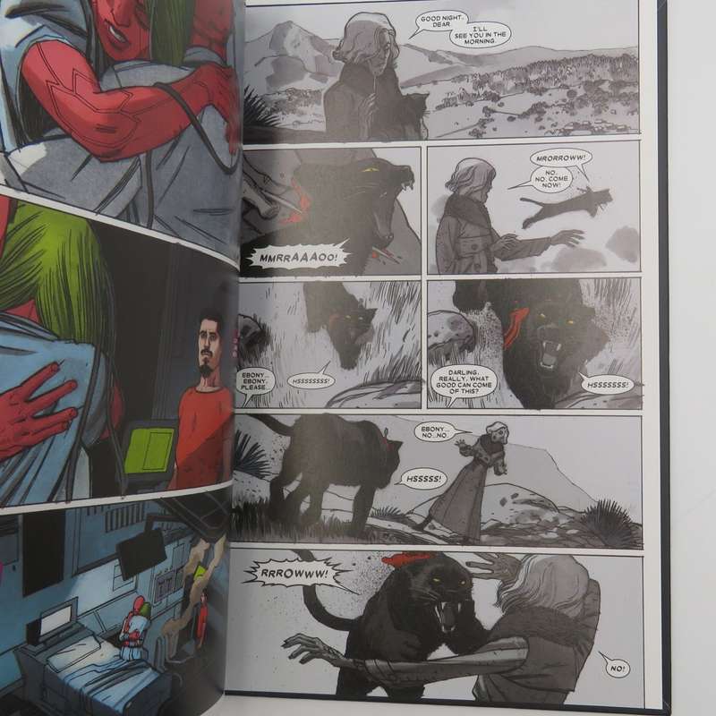 Marvel #116 The Vision - Little worse than a man graphic novel