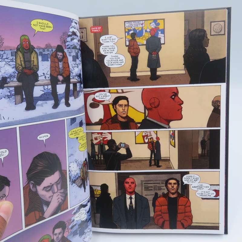 Marvel #117 The Vision - Little better than a beast graphic novel
