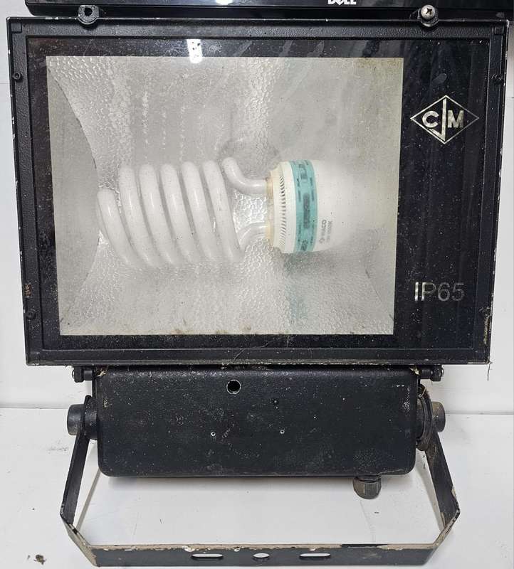 Old-School IP65 Floodlight  With Character!