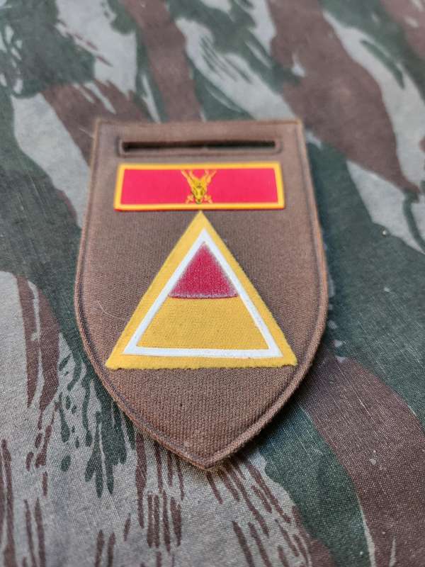 used 100% original SADF era SA Army SAAWCOL/SALVKOL (womans' college) ALPHA coy sub-unit nutria tupp