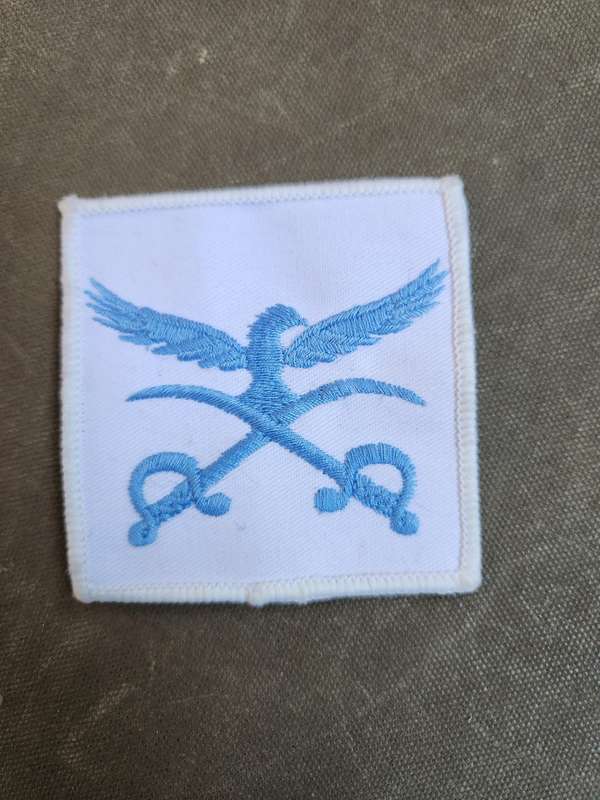 new & unused 100% original SADF era cloth embroidered SAAF PTIs track-suit badge