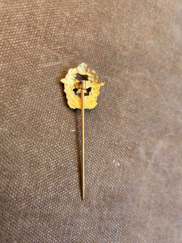 original small lapel pin for the SAAF with (Queens/ Kings?) crown in gilt - pin intact