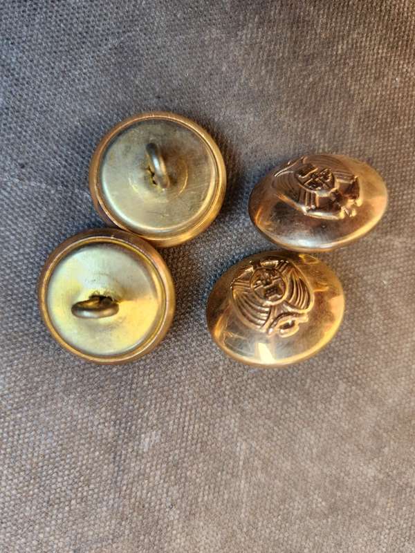 unused hard to find scarce & original 70s era "TPA" Transvaal brass/gilt tunic buttons old Tvl crest