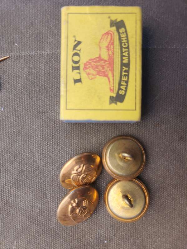 unused hard to find scarce & original 70s era "TPA" Transvaal brass/gilt tunic buttons old Tvl crest