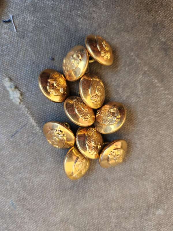 unused hard to find scarce & original 70s era "TPA" Transvaal brass/gilt tunic buttons old Tvl crest
