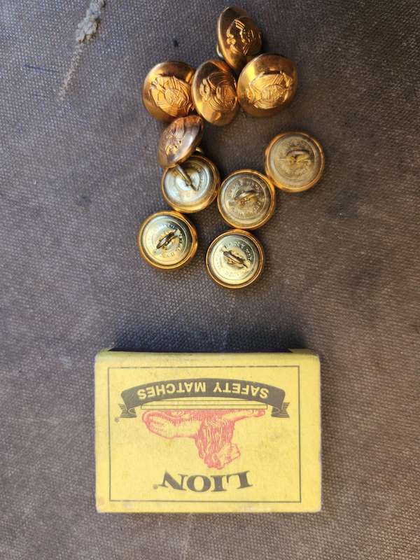 unused hard to find scarce & original 70s era "TPA" Transvaal brass/gilt tunic buttons old Tvl crest