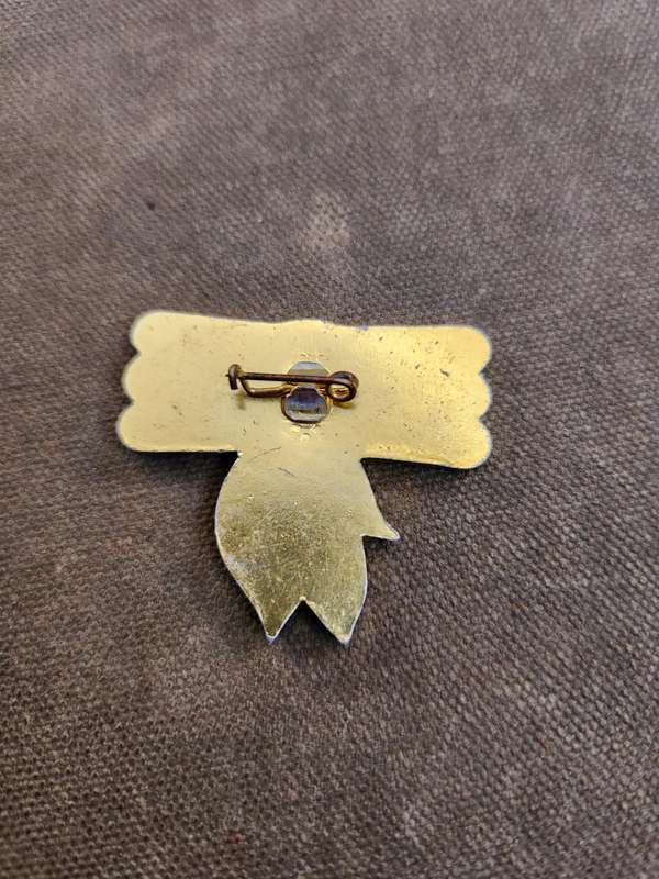 scarce original SWA/Angola border war era SWAPO liberation movement enamel/metal pin badge pin inta