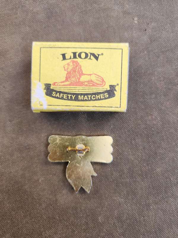 scarce original SWA/Angola border war era SWAPO liberation movement enamel/metal pin badge pin inta