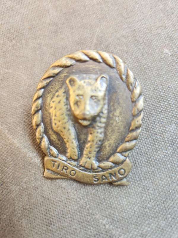 scarce original SADF era metal SA Army 117 SAI Bn beret badge