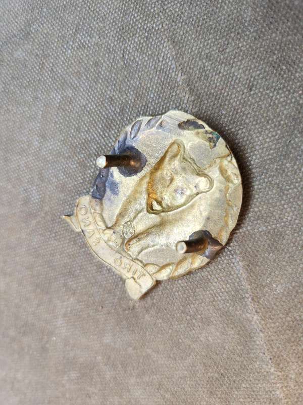scarce original SADF era metal SA Army 117 SAI Bn beret badge