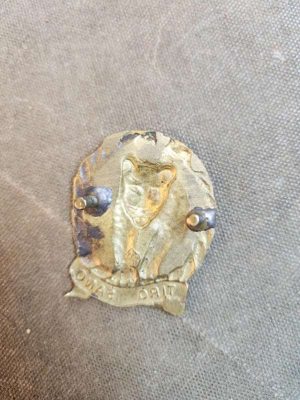scarce original SADF era metal SA Army 117 SAI Bn beret badge